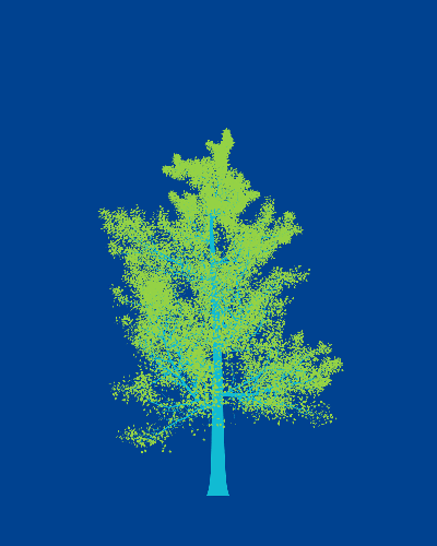 Treee