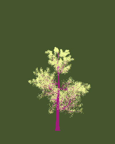 Treee