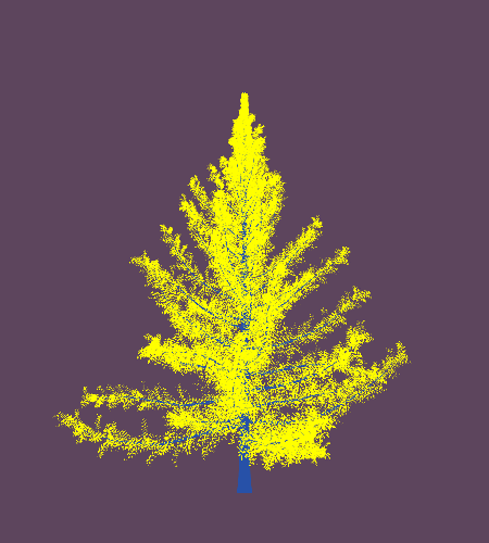 Treee