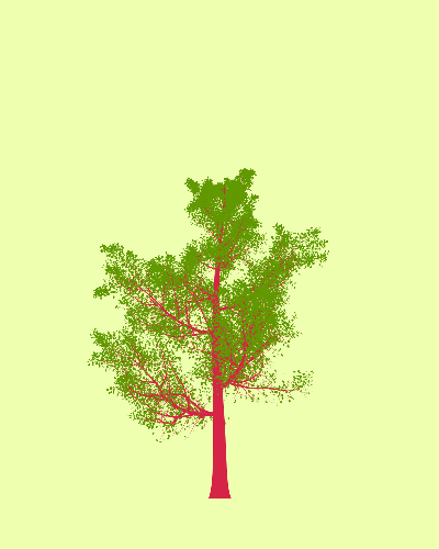 Treee
