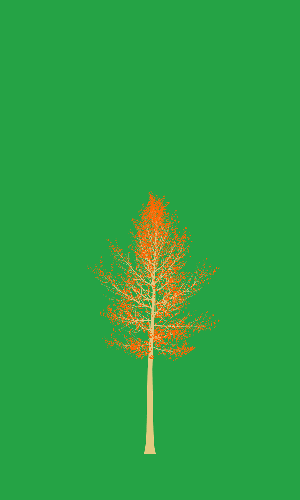 Treee