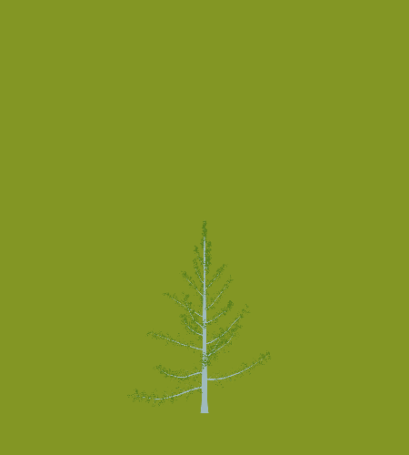 Treee