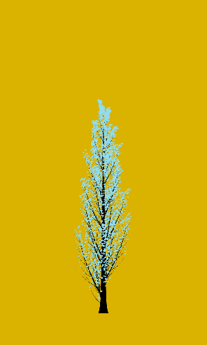 Treee