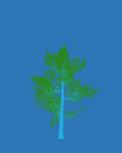 Treee