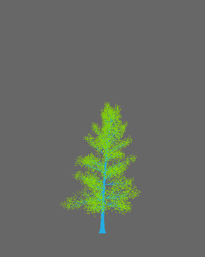 Treee