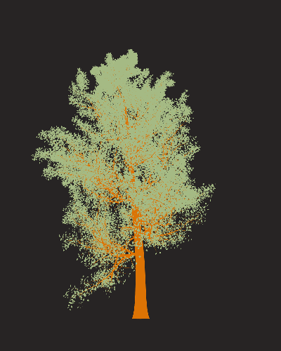 Treee