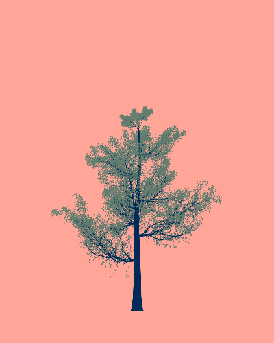Treee