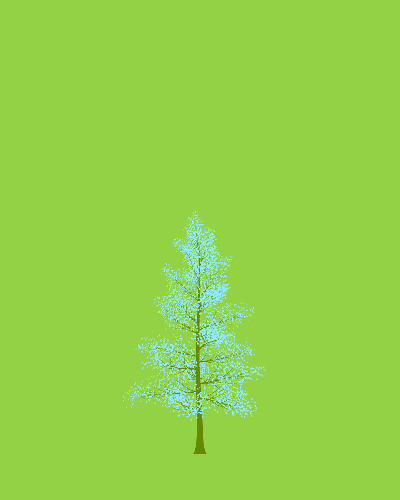 Treee