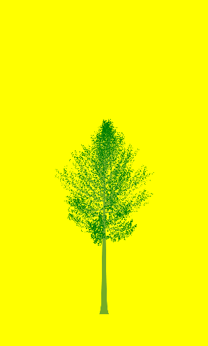 Treee
