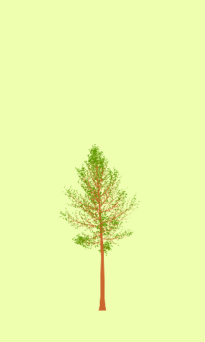 Treee