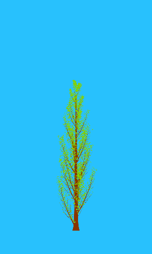 Treee