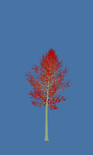 Treee