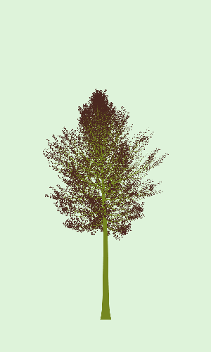Treee
