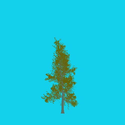 Treee