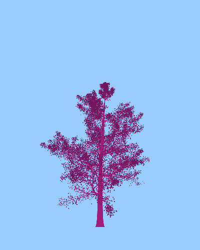 Treee