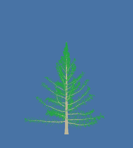 Treee