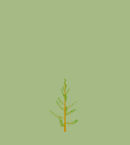 Treee