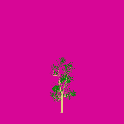 Treee