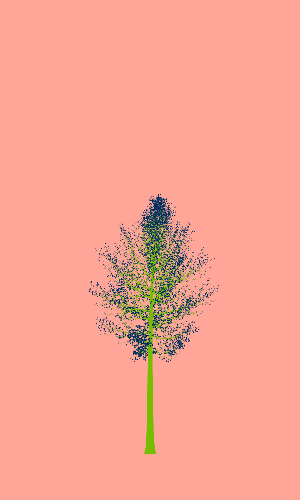 Treee