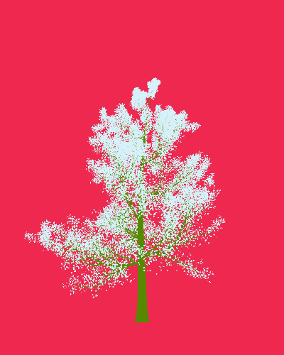 Treee