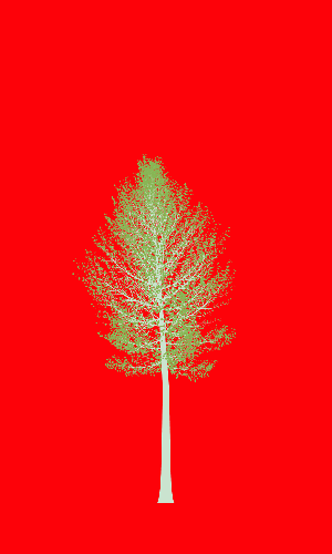 Treee