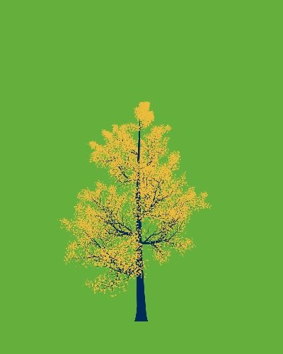 Treee