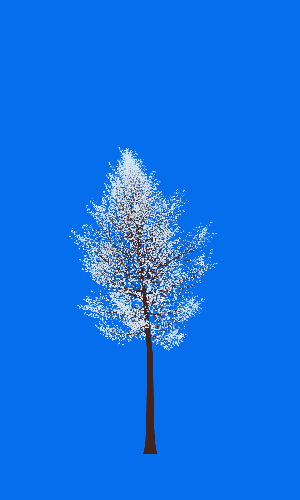 Treee