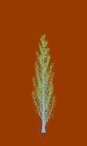 Treee