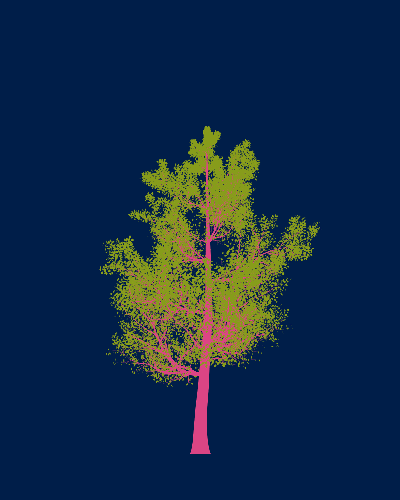 Treee