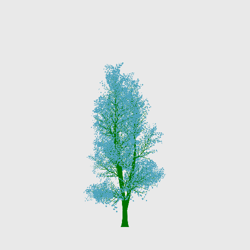 Treee