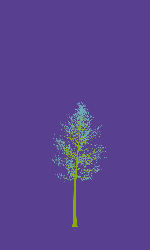 Treee