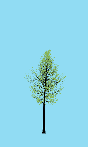 Treee