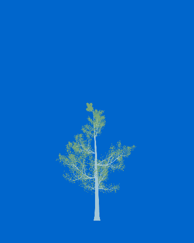 Treee