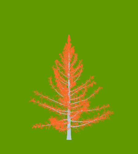 Treee
