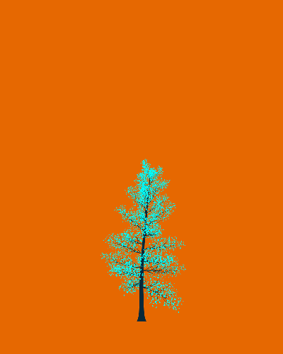 Treee