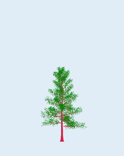 Treee