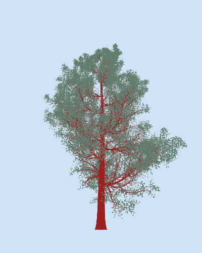 Treee