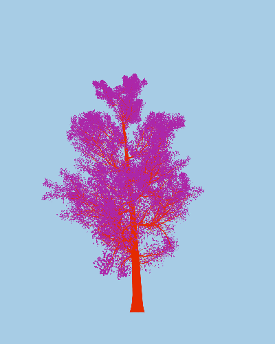 Treee