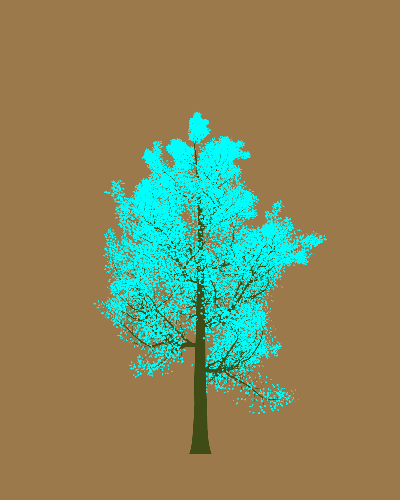 Treee