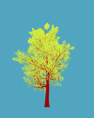 Treee