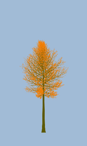 Treee