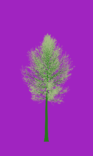 Treee