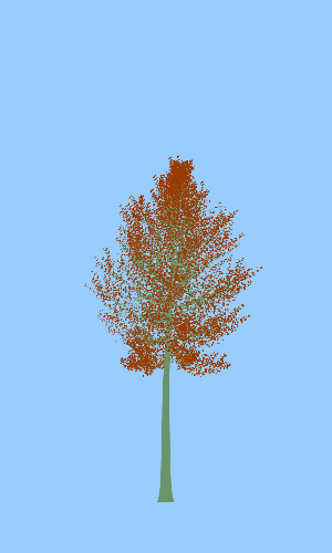 Treee
