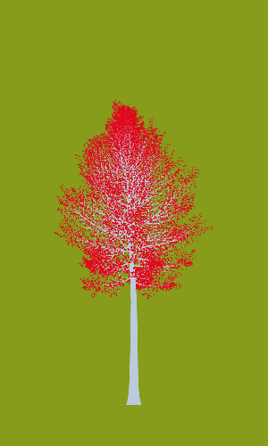 Treee
