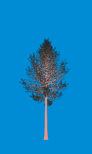 Treee