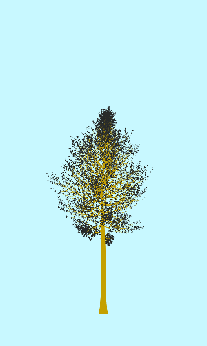 Treee