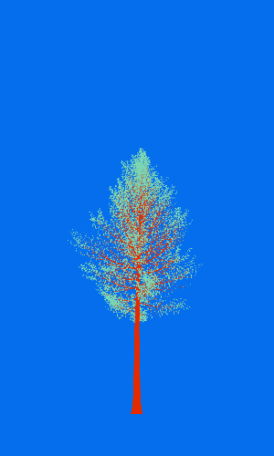 Treee