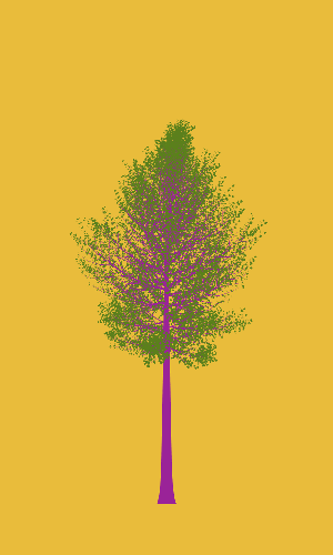 Treee