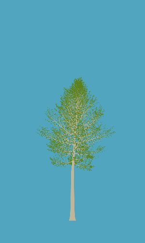 Treee