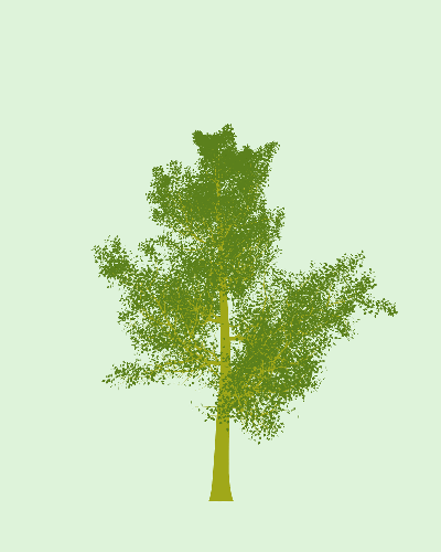 Treee